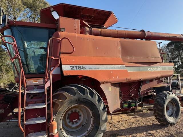 IMG 20251104 064830 Copy